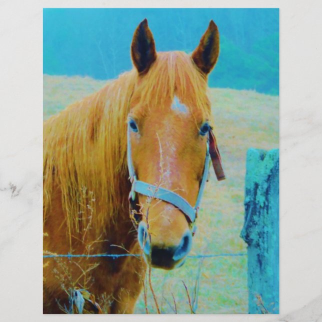 Denim Blue Tinker (Vorderseite)