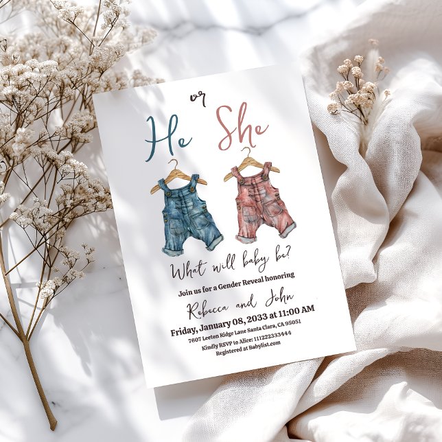 Denim He or She Clothesline Gender Reveal Party Einladung (Von Creator hochgeladen)