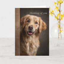 Denk an Dich Golden Retriever