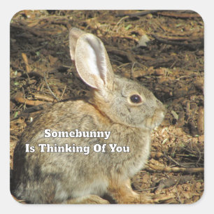 Denk an Dich Lustiges Zitat Braunes Bunny-Foto Quadratischer Aufkleber