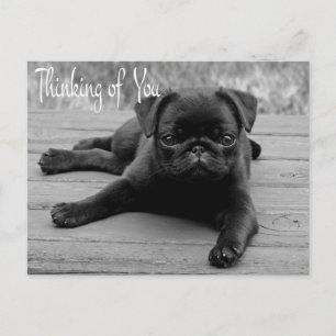 Denk an Dich Mops Welpe Hund Grußpostkarte Postkarte