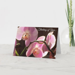 Denk-an-Dich-Rosa-Orchideen-Karte-mit-leerer-Innen Karte