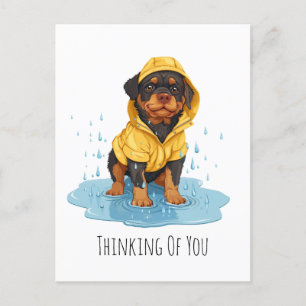 Denk an dich Rottweiler-Hund mit Regenmantel Postkarte