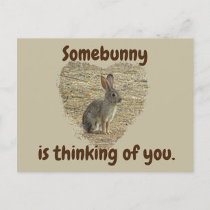 Denk an Dich Süßer Hase Vermisst Dich Freundschaft Postkarte