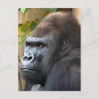 Denke nicht mal daran... postkarte