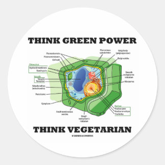 Denke ökologisch Power denken Vegetarier (Pflanze  Runder Aufkleber