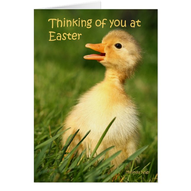 Denken an Sie bei Ostern (Vorne)