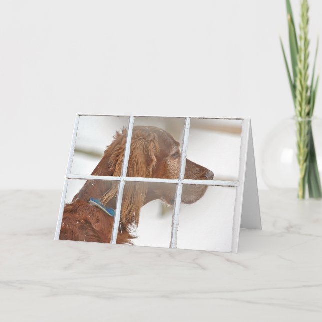 Denken an Sie-Irischen Setzer im Schnee Karte (Vorderseite)