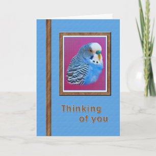Denken an Sie Karte mit blauem Parakeet