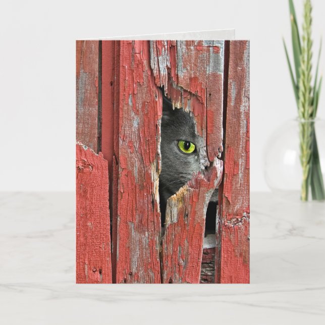 Denken an Sie Katze Karte (Vorderseite)