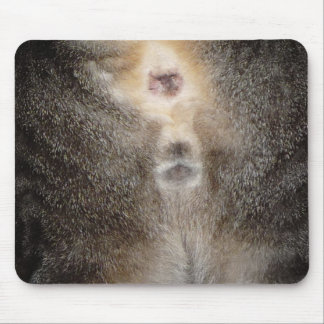 Denken an Sie Katze Mousepad