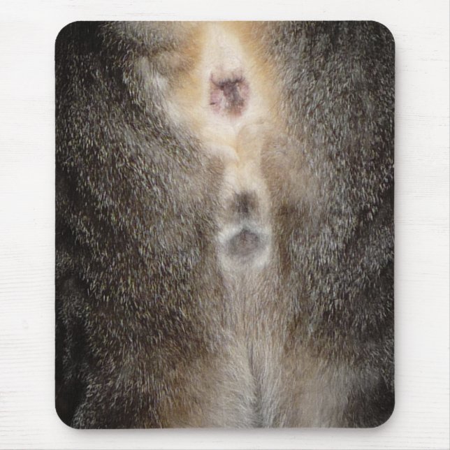 Denken an Sie Katze Mousepad (Vorne)