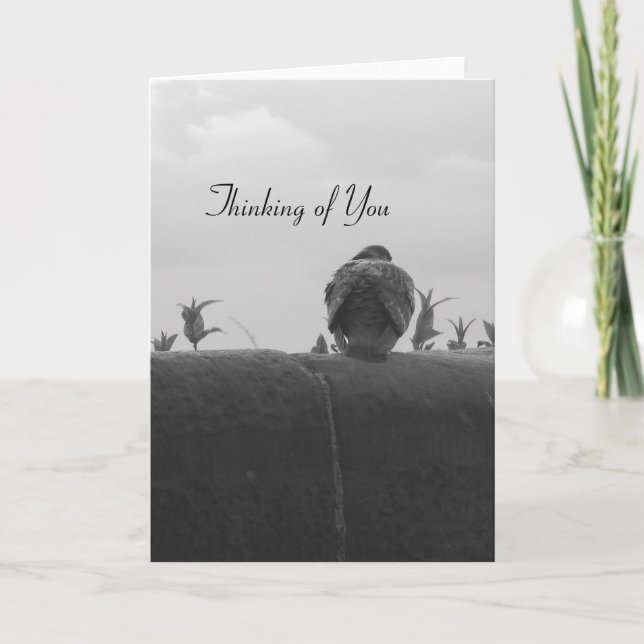 Denken an Sie Taube Karte (Vorderseite)