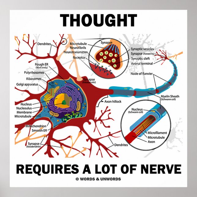 Denken erfordert eine Menge Nerv (Neuron/Synapse) Poster (Vorne)