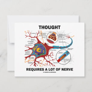 Denken erfordert viel Nerv (Synapse)