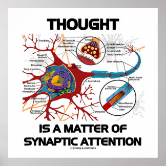 Denken ist eine Frage der synaptischen Aufmerksamk Poster