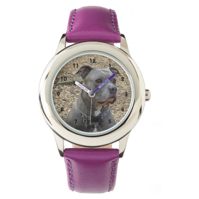 Denken Pitbull Watch Armbanduhr (Vorderseite)