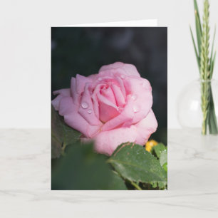 Denken - Rosa Rose Karte
