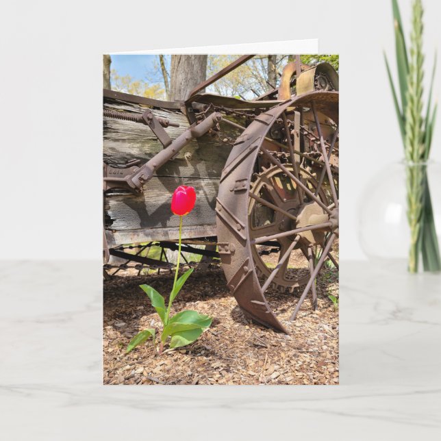 Denken Sie an Altes und Rotes Tulip Karte (Vorderseite)