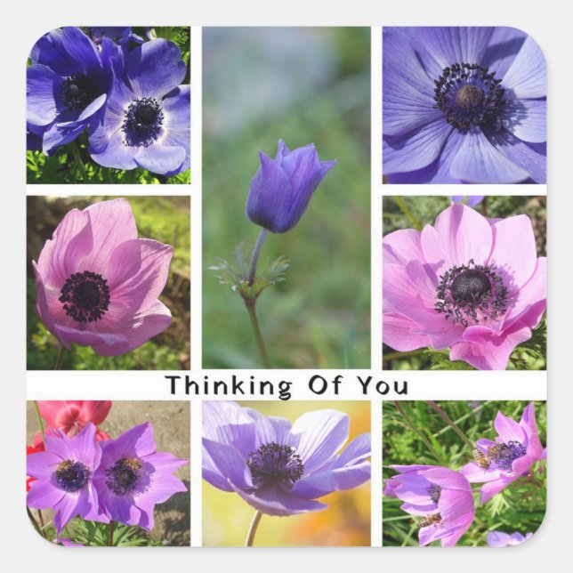 Denken Sie an Anemone Foto Collage Quadratischer Aufkleber (Vorderseite)