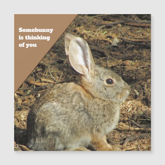 Denken Sie an Brown Bunny Foto Nature Animal Magnetkarte (Vorderseite)
