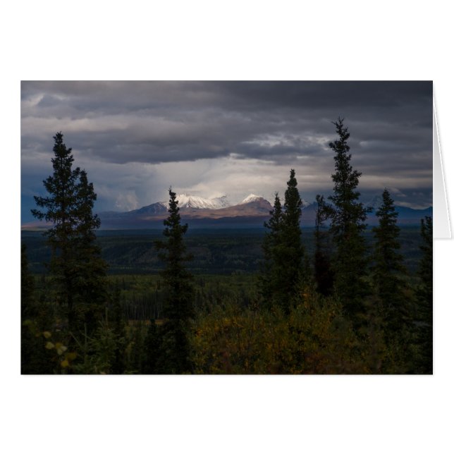 Denken Sie an das Fotografieren von leuchtenden Be (Vorderseite (Horizontal))