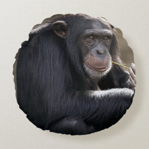 Denken Sie an das Monkeying Rundes Kissen