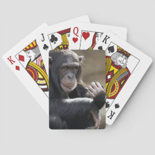 Denken Sie an das Monkeying Spielkarten