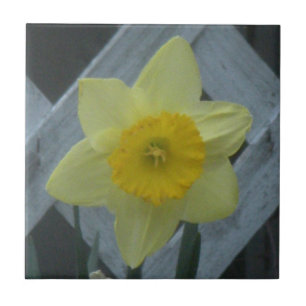 Denken Sie an den Frühling! Fliese