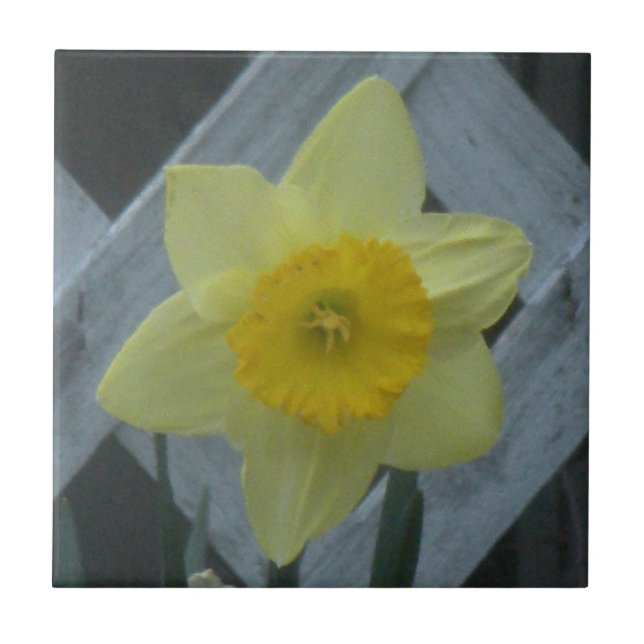 Denken Sie an den Frühling! Fliese (Vorderseite)