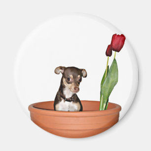 Denken Sie an den Frühling! Magnet