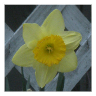 Denken Sie an den Frühling! Poster