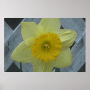Denken Sie an den Frühling! Poster