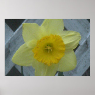 Denken Sie an den Frühling! Poster
