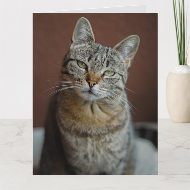 DENKEN SIE AN DIE HANDSOME TABBY CAT GREETING CARD KARTE (Vorderseite)