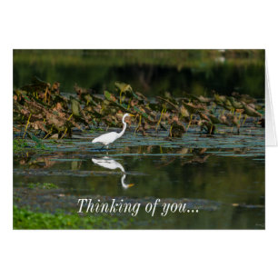 Denken Sie an die weißen Egret Reflektion Ihrer Ka