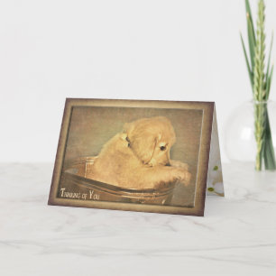 Denken Sie an einen Golden Retriever Welpe Karte