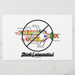 Denken Sie an Epigenetik! (Kreuzung der DNA-Replik