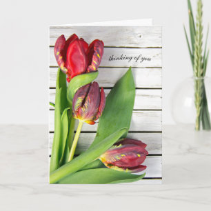 Denken Sie an extravagante rote Tulpen auf Holz Karte