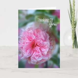 Denken Sie an Hollyhock-Foto Karte