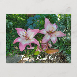 Denken Sie an Hübsche Pink Lilies Postkarte