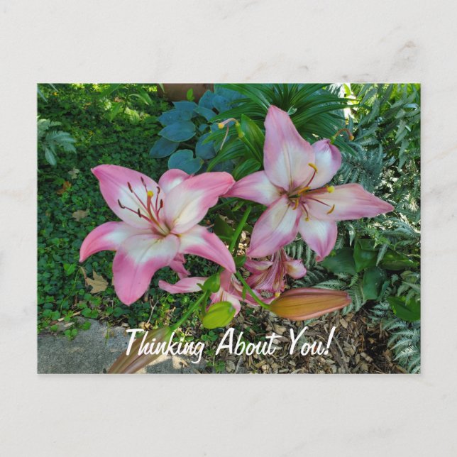Denken Sie an Hübsche Pink Lilies Postkarte (Vorderseite)