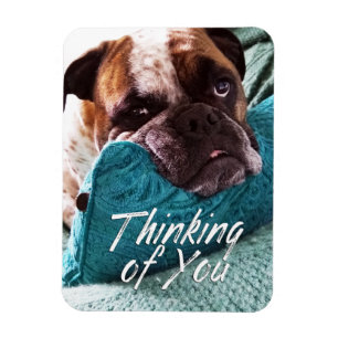Denken Sie an Ihr Bulldog Foto Beileid Magnet