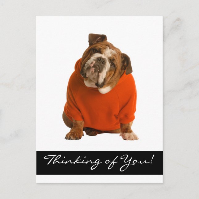 Denken Sie an Ihr Bulldog Puppy Dog Gruß Poscard Postkarte (Vorderseite)