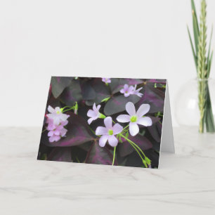 Denken Sie an Ihr Lila Kleeblatt Blooms Foto Karte