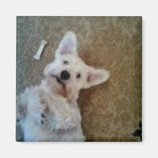 Denken Sie an Ihr Magnet