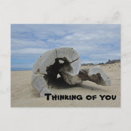 Denken Sie an Ihr Pacific Ocean Beach Driftwood Postkarte