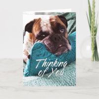 Denken Sie an Ihre Bulldog Foto Sympathy Card