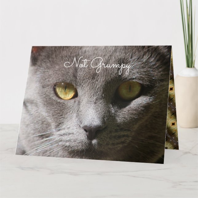 Denken Sie an Ihre Cat Card Karte (Vorderseite)