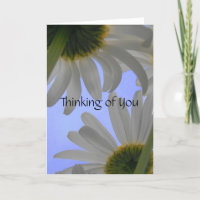 Denken Sie an Ihre "Daisy Day Grußkarte"